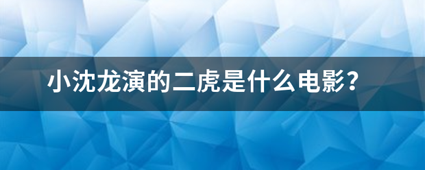 小沈龙演的二虎是什么电影？