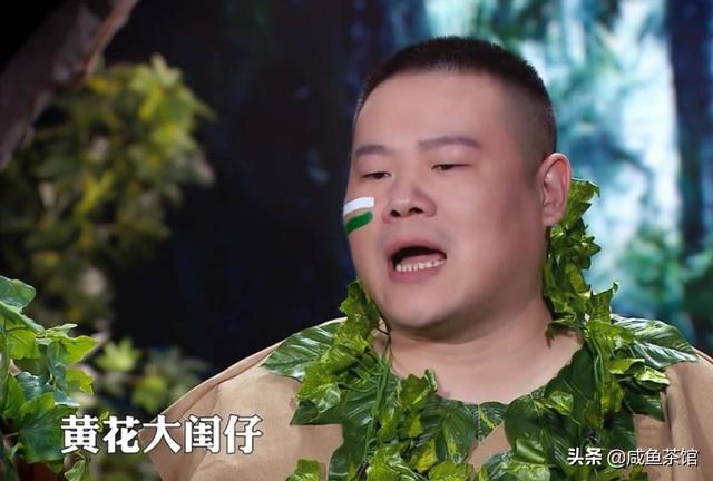 岳云鹏资产有多少亿？