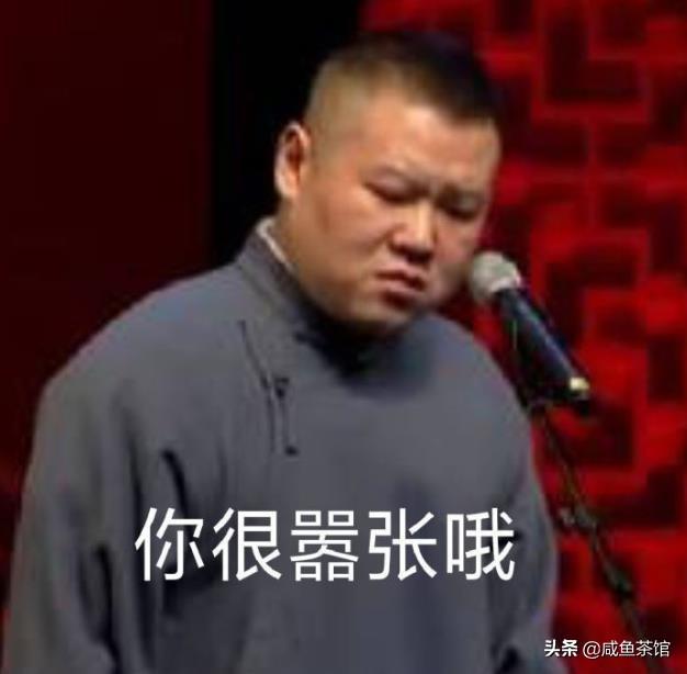 岳云鹏资产有多少亿？